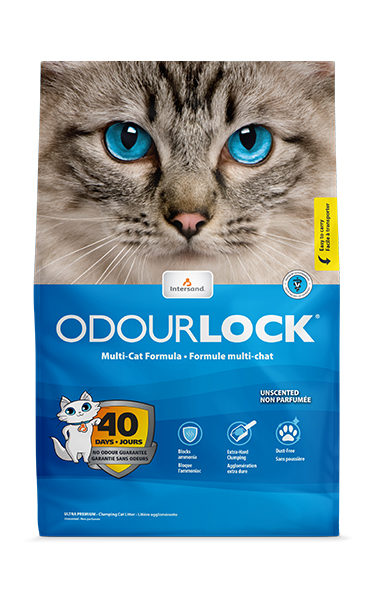 Intersand OdourLock Unscented Cat Litter, 13-lb (Size: 13-lb)