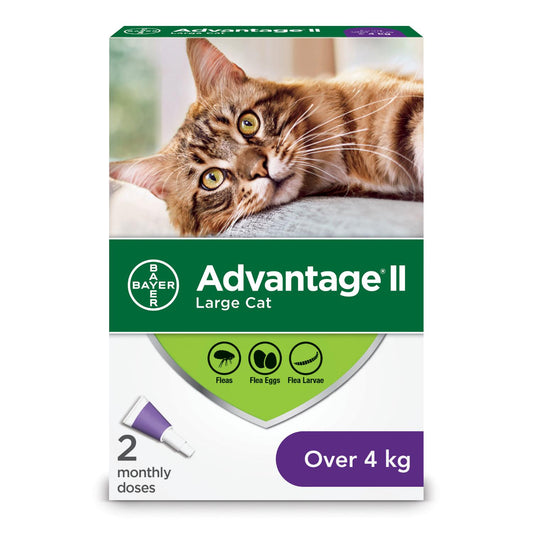 Advantage II Flea Protection for Large Cats over 4-kg, 2-pk (Size: 2-pk)
