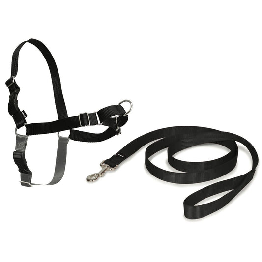 PetSafe Easy Walk Dog Harness & Lead, Black, Small/Medium (Size: Small/Medium)