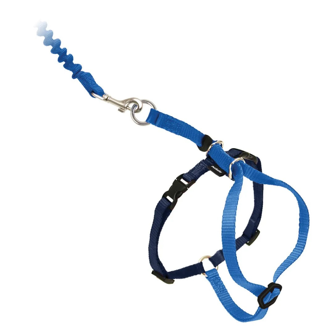 PetSafe Come With Me Kitty Harness & Bungee Cat Leash, Royal Blue/Navy, Large (Size: Large, Color: Royal Blue/Navy)