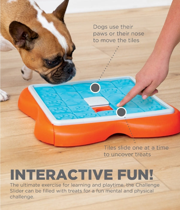 Outward Hound Nina Ottoson - Challenge Slider Treat Dispensing Puzzle Dog Toy