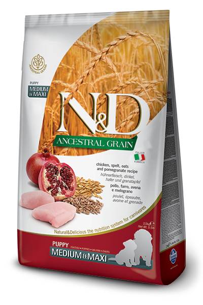 Farmina N&D Ancestral Grain Chicken & Pomegranate Medium & Maxi Puppy Dry Dog Food, 26.4-lb (Size: 26.4-lb)