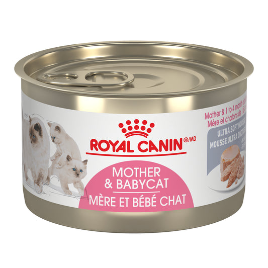 Royal Canin Feline Health Nutrition Mother & Baby Ultra Soft Mousse Canned Wet Cat Food, 85-gm (Size: 85-gm)