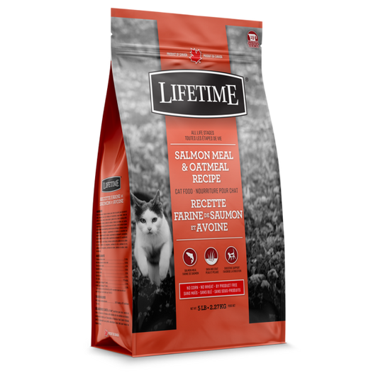 Lifetime ALS Salmon & Oatmeal Recipe Dry Cat Food, 2.27-kg (Size: 2.27-kg)