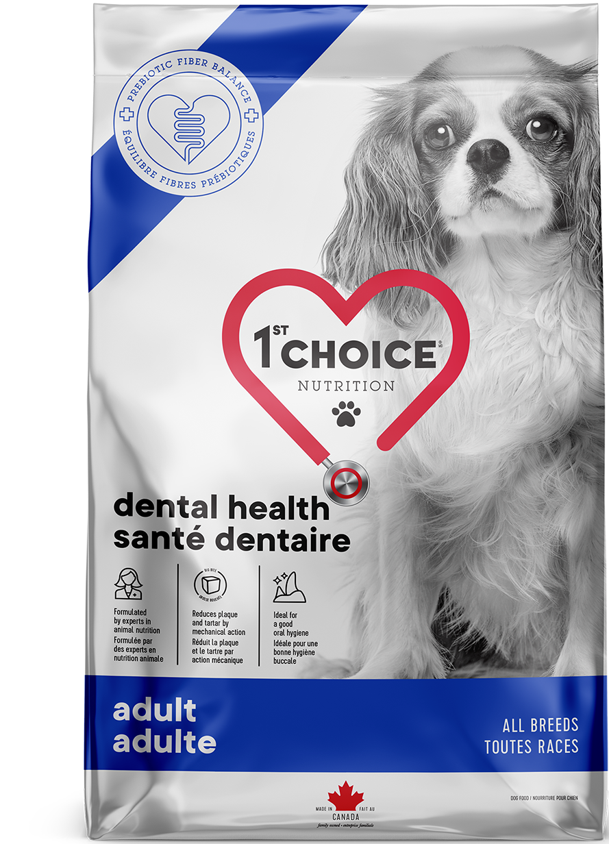 1st Choice Nutrition Dental Health Formula Dry Dog Food, 4.4-lb (Size: 4.4-lb)