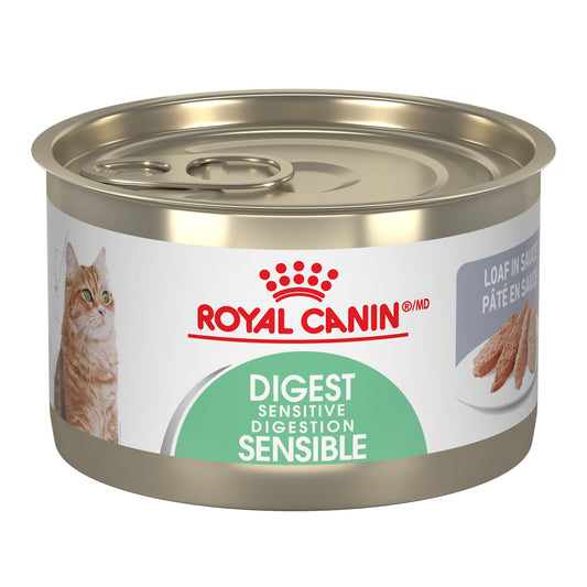 Royal Canin Feline Care Nutrition Digest Sensitive Loaf in Sauce Wet Cat Food, 145-gram (Size: 145-gram)