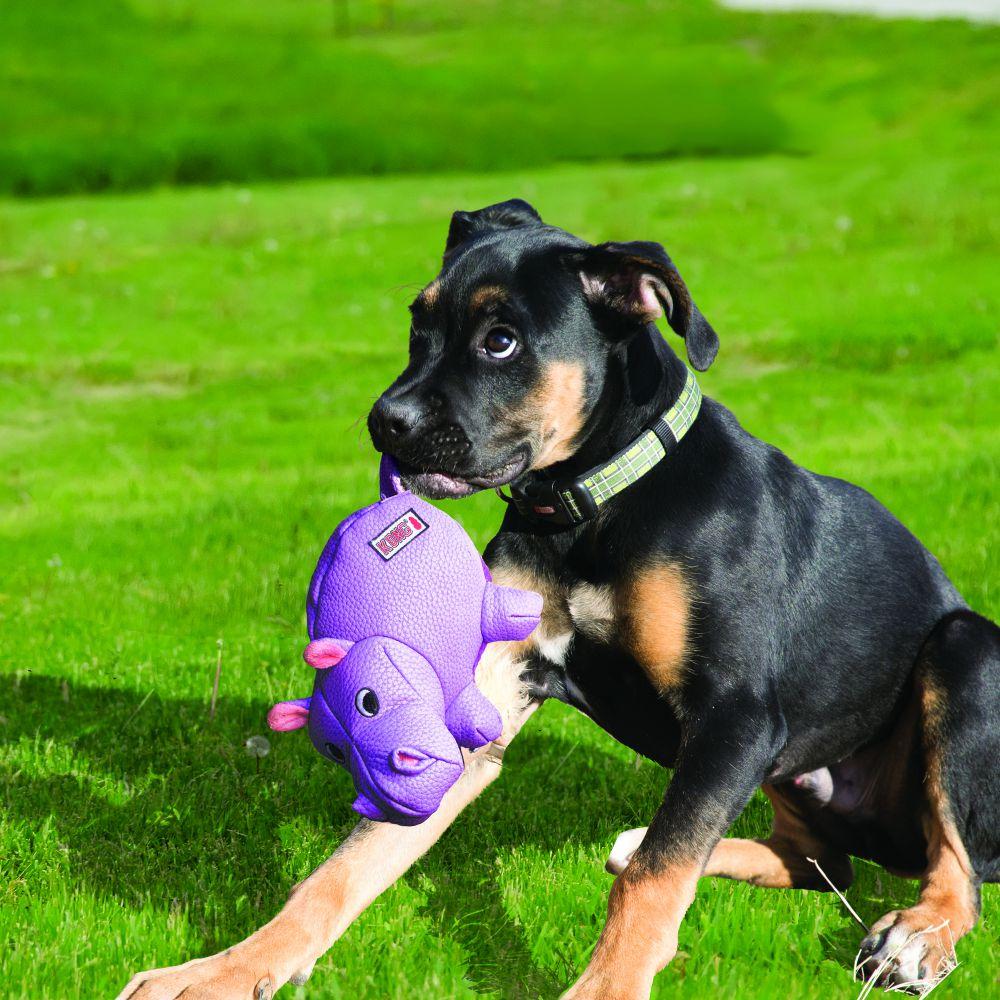 KONG Phatz Hippo Dog Toy, X-Small (Size: X-Small)