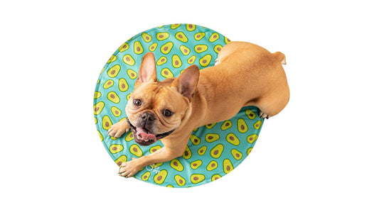 GF Pet Cooling Round Ice Dog Mat, Aqua, 32-in (Size: 32-in)
