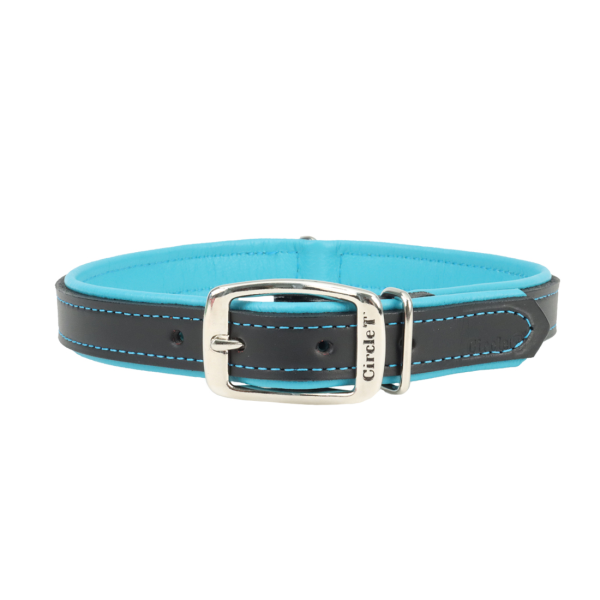 Circle T Double-Ply Fashion Leather Dog Collar, Black & Teal, 1-in x 20-in (Size: 1-in x 20-in)