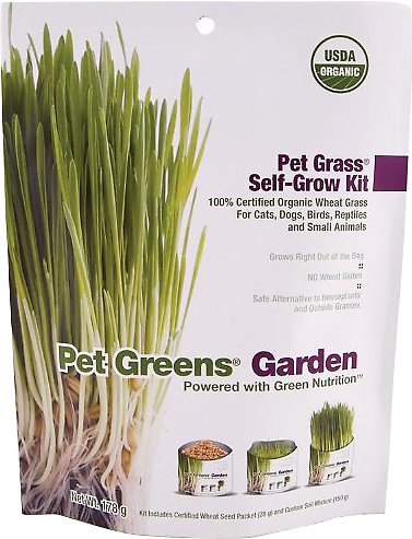 Pet Greens Self Grow Garden Pet Grass, 3-oz (Size: 6-oz)