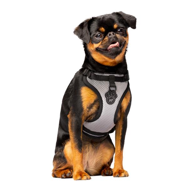 Canada Pooch The Everything Mesh Dog Harness , Reflective, Small (Size: Small)