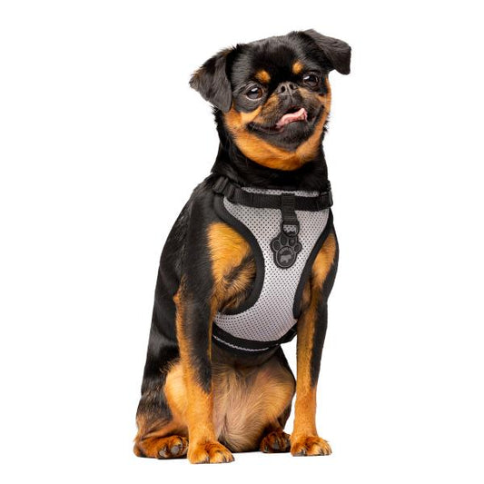 Canada Pooch The Everything Mesh Dog Harness , Reflective, Medium (Size: Medium)