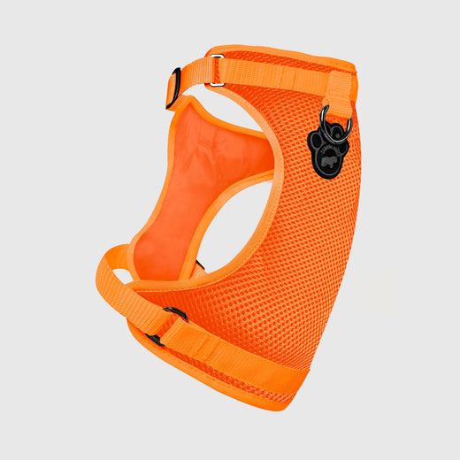 Canada Pooch The Everything Mesh Dog Harness, Orange, Small (Size: Small)