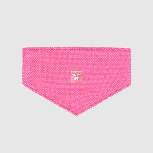 Canada Pooch Dog Cooling Bandana, Neon Pink, Small (Size: Small)