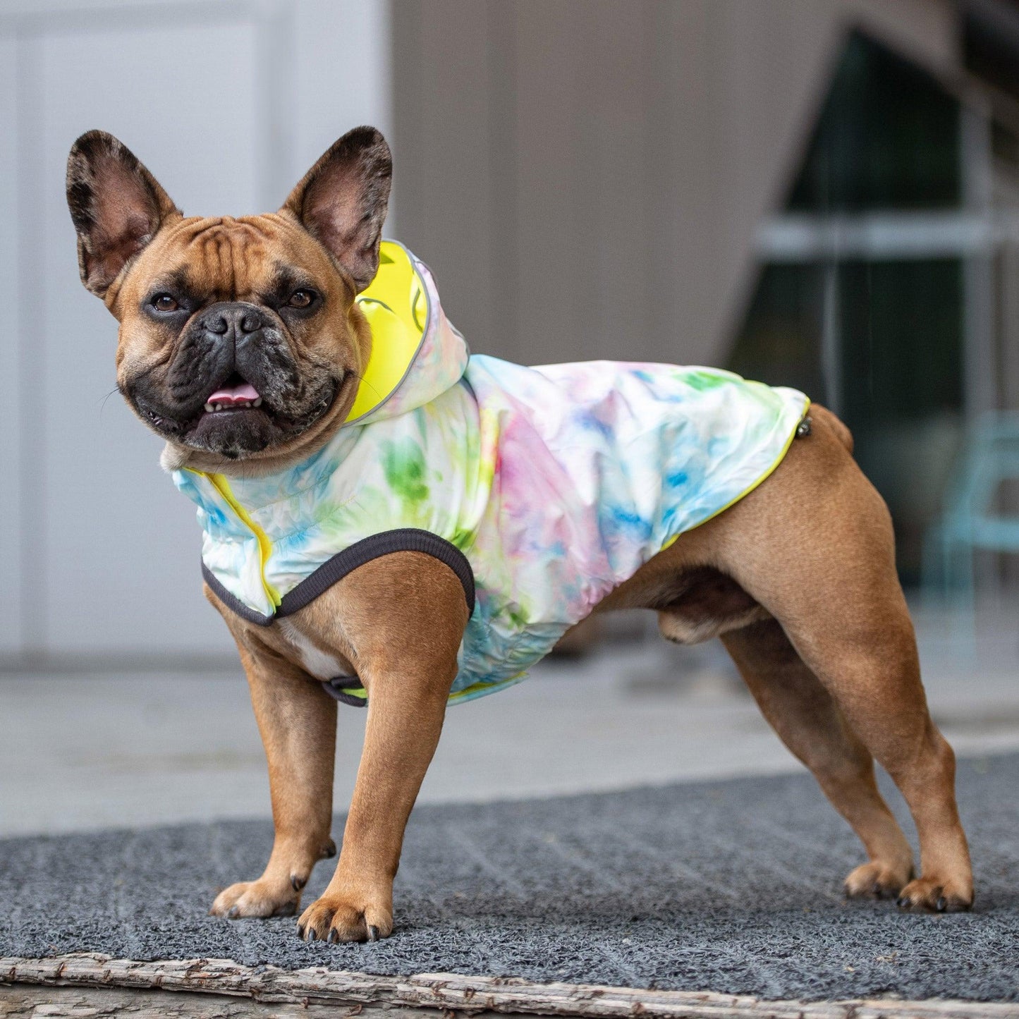 GF Pet Reversible Dog Raincoat, Neon Yellow/Tie-Dye, Large (Size: Large)