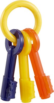 Nylabone Puppy Chew Teething Keys Dog Toy, Large (Size: Large)