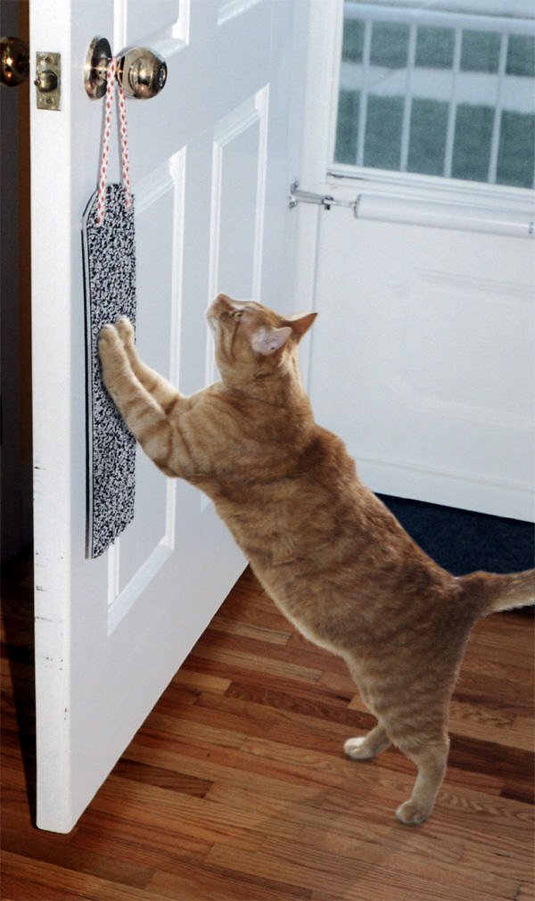 Omega Paw Door Hanging Cat Scratchy Pad