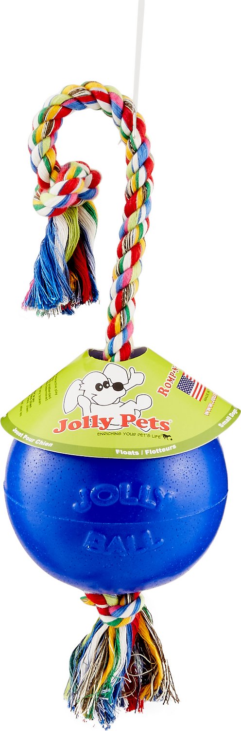 Jolly Pets Romp-n-Roll Dog Toy, Blue, 8-in (Size: 8-in)
