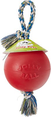 Jolly Pets Romp-n-Roll Dog Toy, Red, 6-in (Size: 6-in)