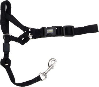 Walk 'n Train Dog Head Halter, Black, Small (Size: Small)