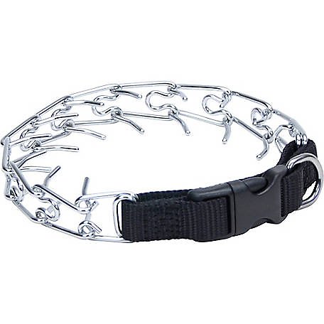 Coastal Titan Martingale Prong Training Dog Collar, 18-in (Size: 18-in)