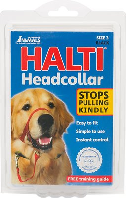 Halti Dog Headcollar, Black, Size 3 (Size: Size 3)